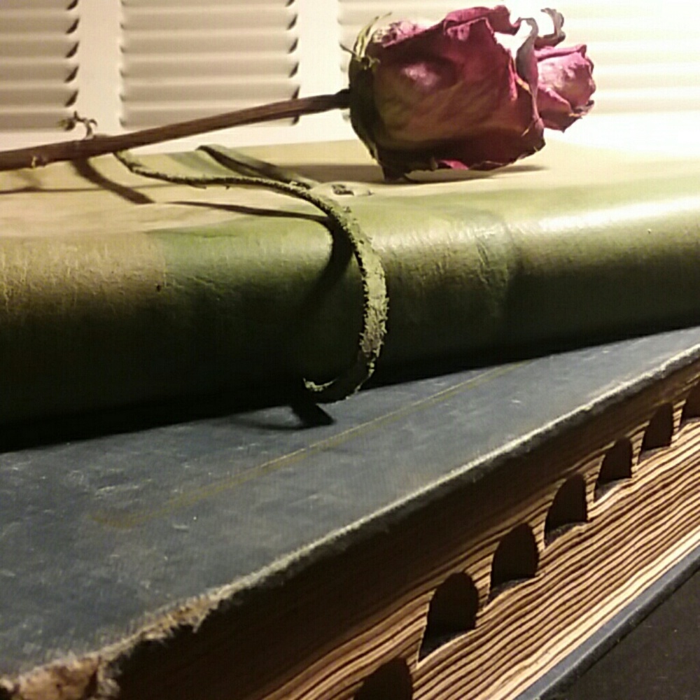 Meet your Posher, Yrsa